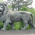 2 leeuwen